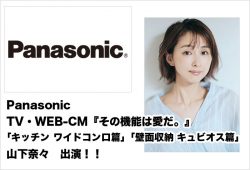 Panasonic