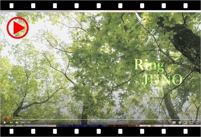 JUNO / 「Ring」PV